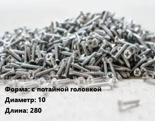 Шуруп с потайной головкой 10х280